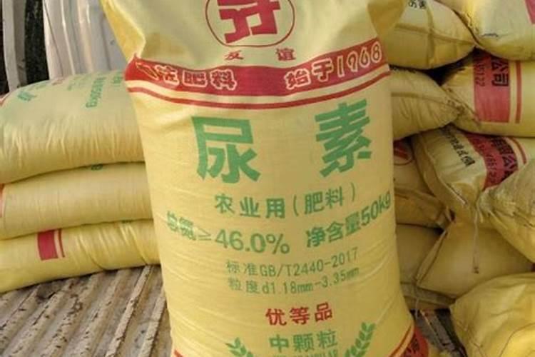小麦施肥复合肥和尿素哪个好
