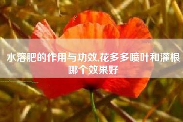 微量元素水溶肥的作用及功效