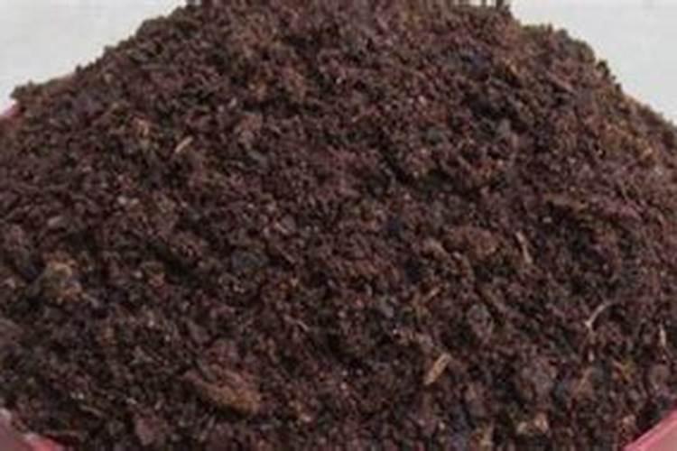 种黄瓜氮肥用量过多或过少都不好,最佳的施肥方法是什么？