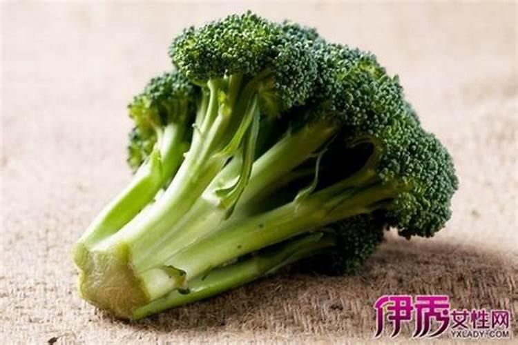 内蒙古有哪些化肥厂