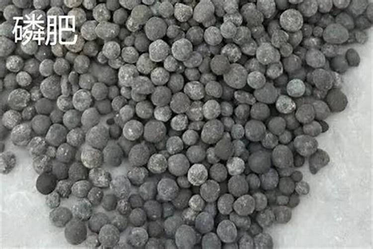 氮肥、磷肥和钾肥分别有什么作用？