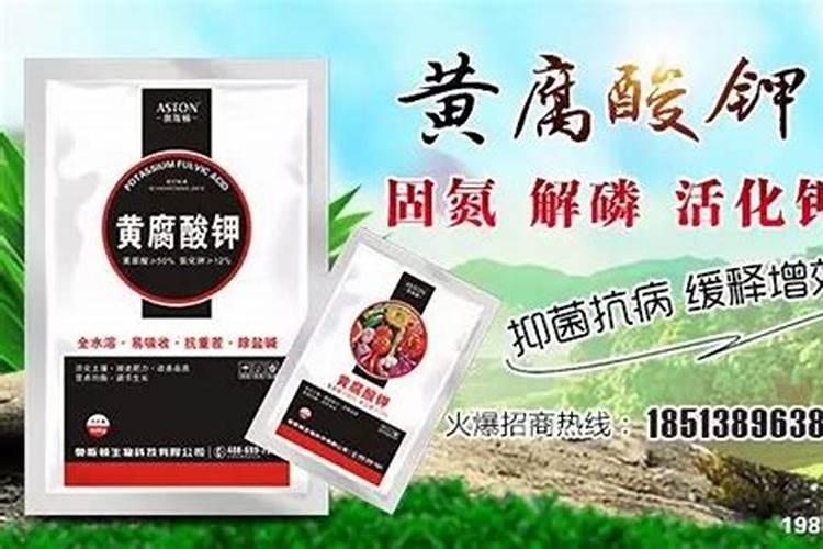 杜鹃能喷叶面肥吗？喷叶面肥用什么肥料比较好？