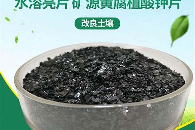 烤烟种植技术与方法