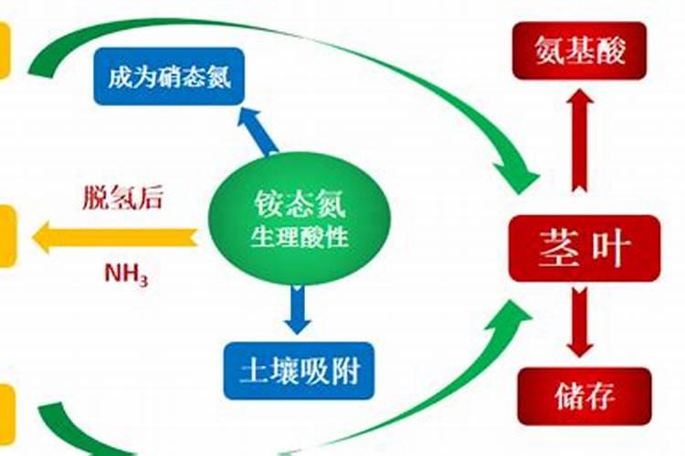 植物组织培养的培养基成分