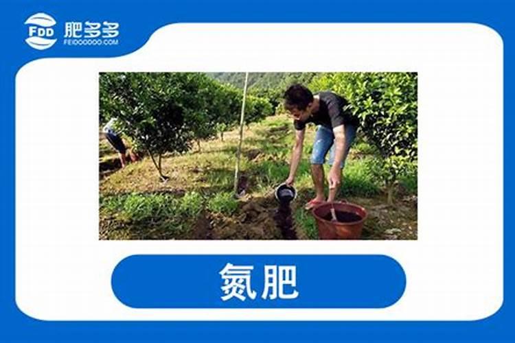 桃树的需肥特性是怎样的？