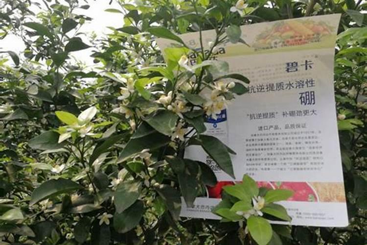 洞氮是哪里 洞氮是什么地方