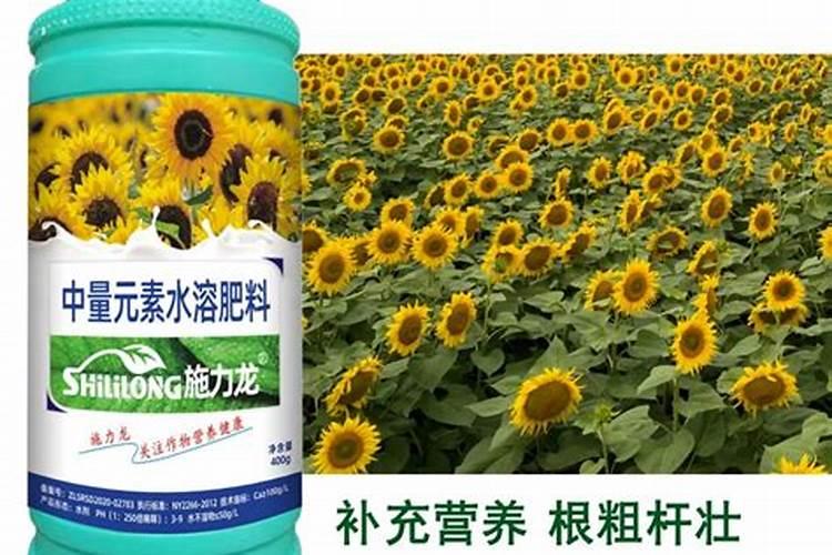 钾肥的正确使用时间