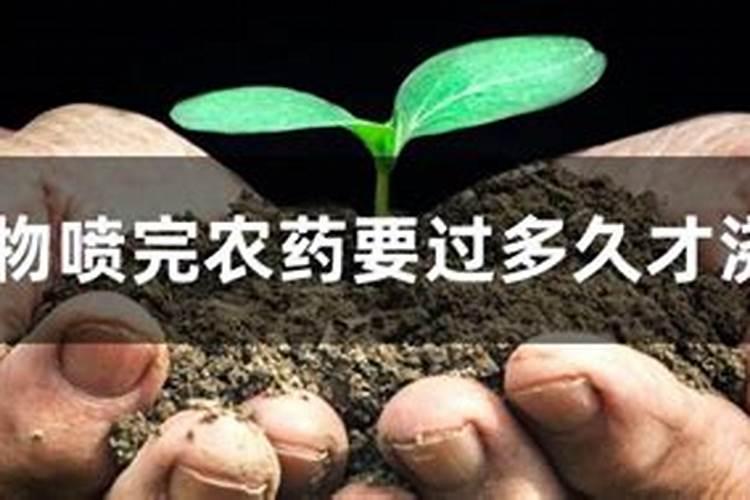 果苗喷了叶面肥多久才能,再喷杀虫杀菌药