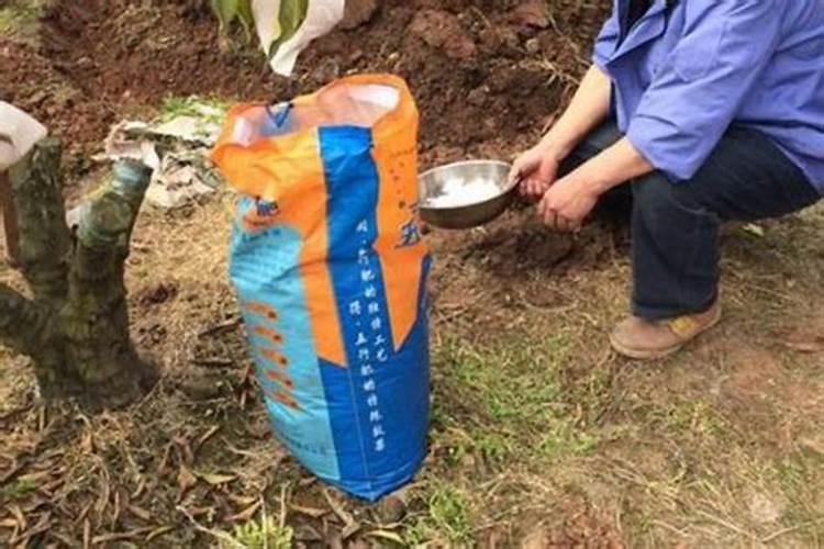 水溶肥菜地多久吸收完