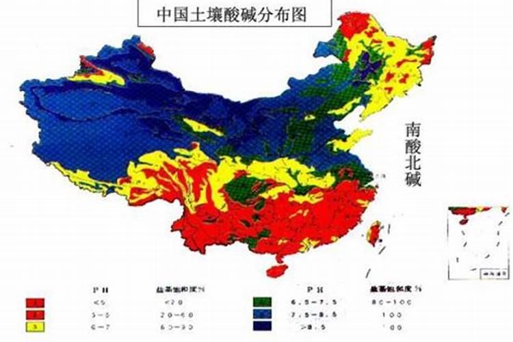 土壤补钙用什么钙肥好？谢谢!急用!