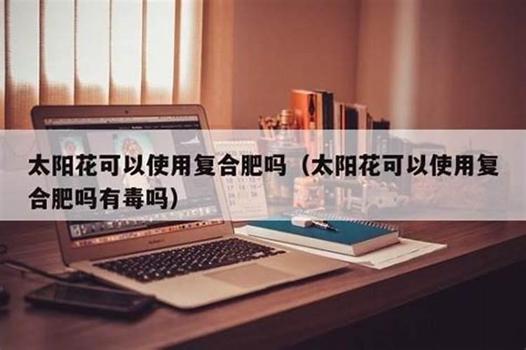 太阳花施肥方法,用什么肥好