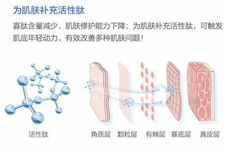 桃树用什么肥料桃子甜施肥注意事项有哪些