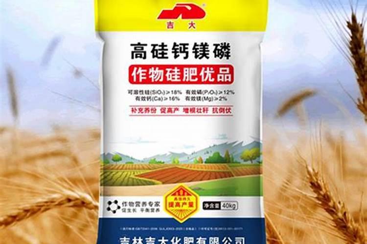 硅肥有什么作用？为什么大家都在用