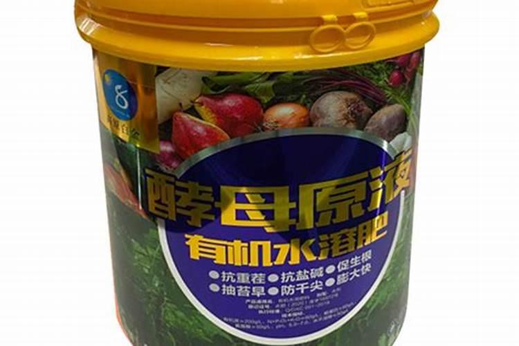 罗汉松黄叶怎样急救