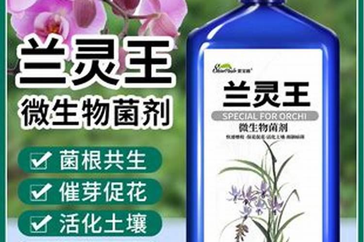 兰花施加复合肥需要注意些什么问题