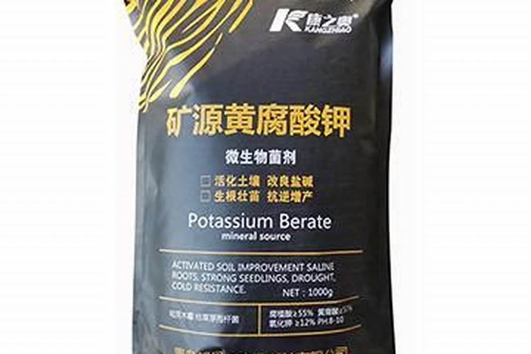 芸豆要想高产花期怎么管理芸豆养殖技巧总结