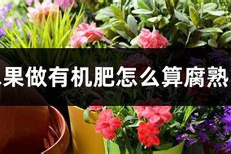 腐烂的水果直接丢弃在土壤表面,能否给植物作为肥料？