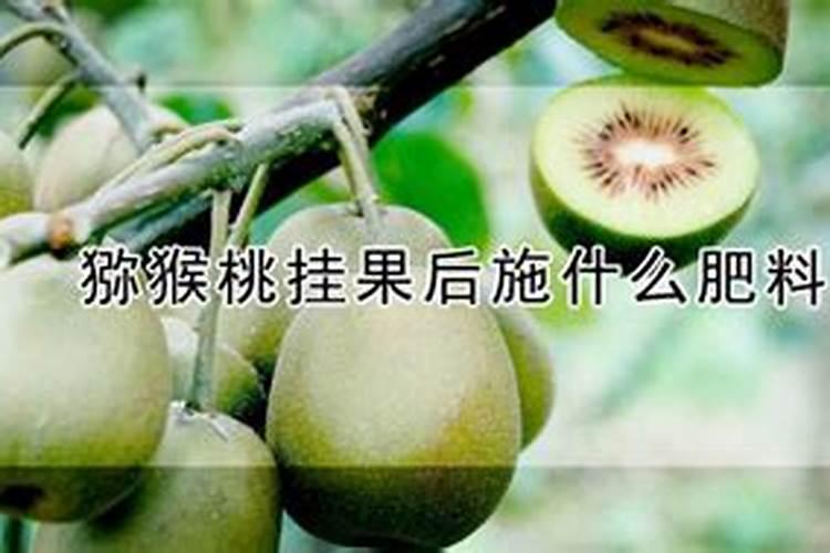 辣椒什么时候施肥施什么肥(种辣椒多久施一次肥最好)