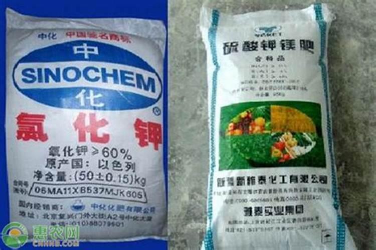 桃树新叶有点黄不太绿,缺什么？
