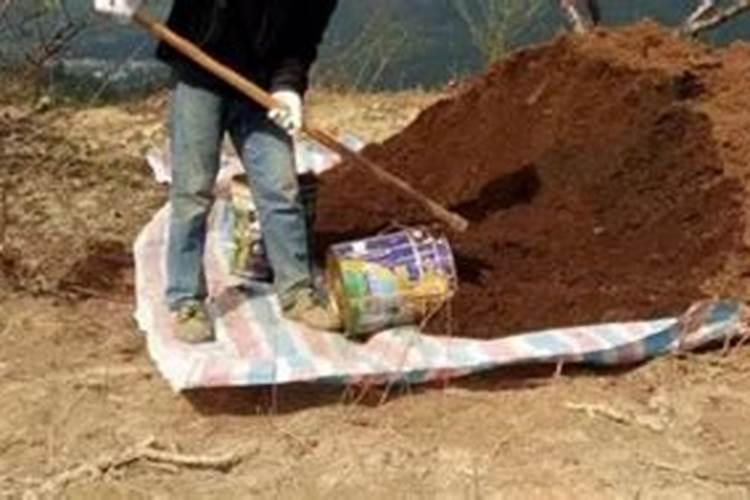 桃树浇什么肥料能增产增甜？种植桃树防病增产施肥管理如何做