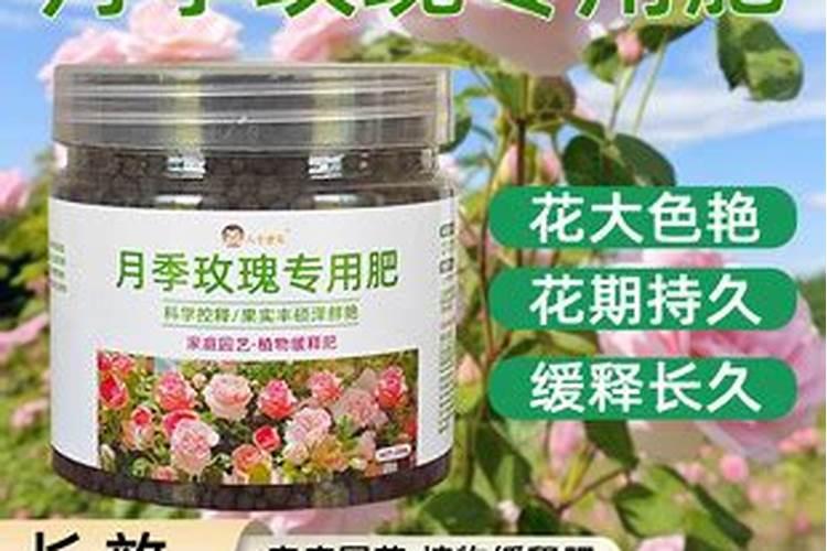 天脊硝酸磷肥肥效多久