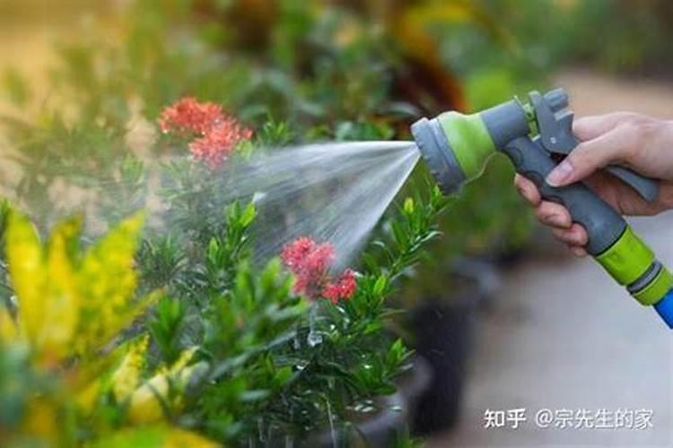 种蔬菜用什么复合肥