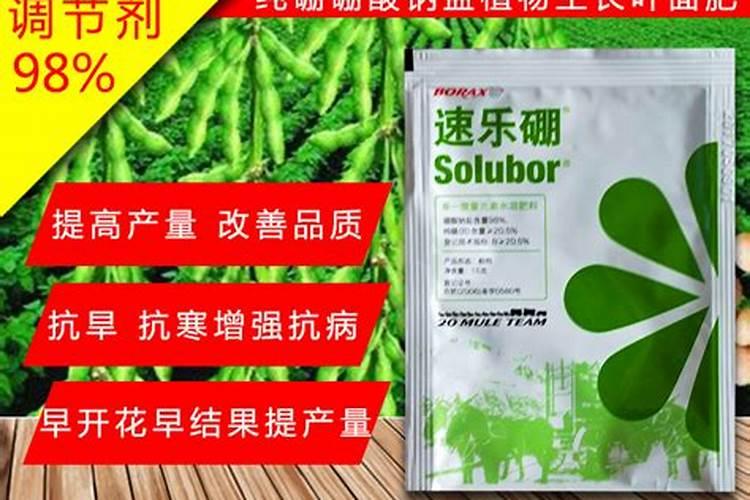 番茄处于开花期适合施加哪种叶面肥？