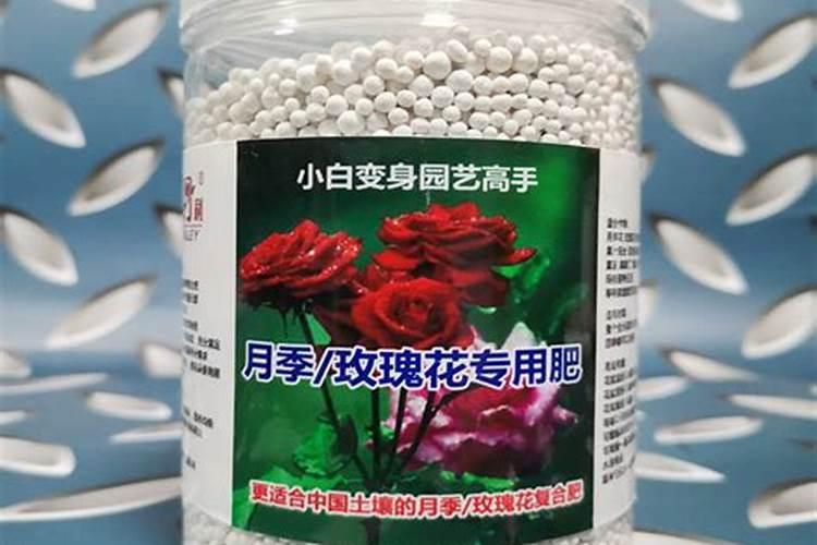 蓝莓用什么肥料最好最旺