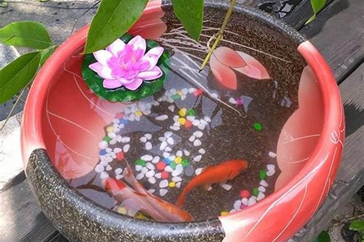 绵阳看荷花的地方在哪里