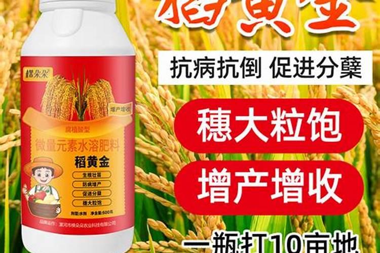 矿源黄腐酸钾能用在茶树上吗？