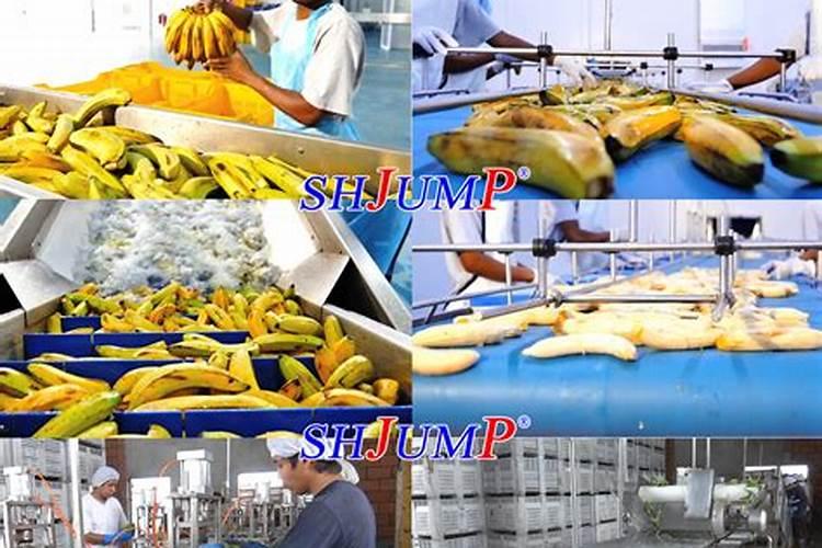 种香蕉用什么含量的肥？