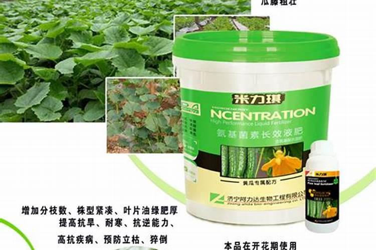 黄瓜结果期冲施什么肥料