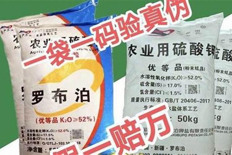 什么钾肥最好