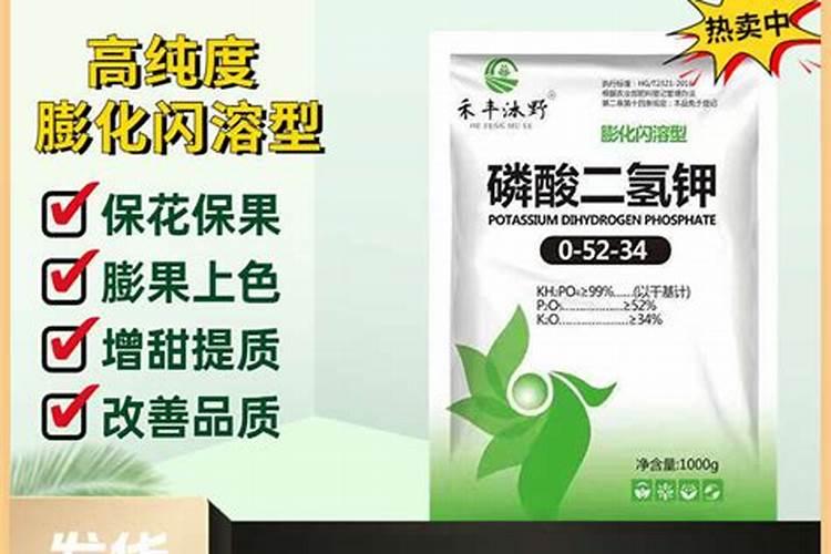 多肉施肥用什么肥料？