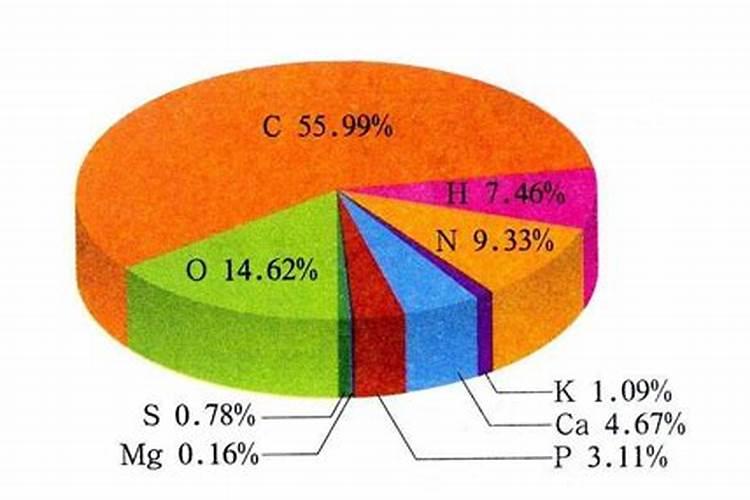 中量元素肥料有哪几种