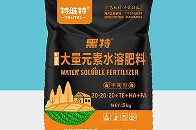 叶片吸收的养分是怎样进入果树体内的？