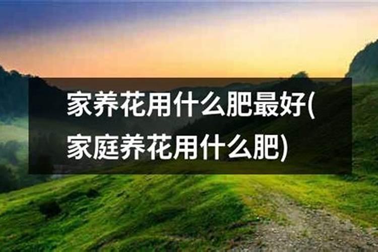 养肺的植物