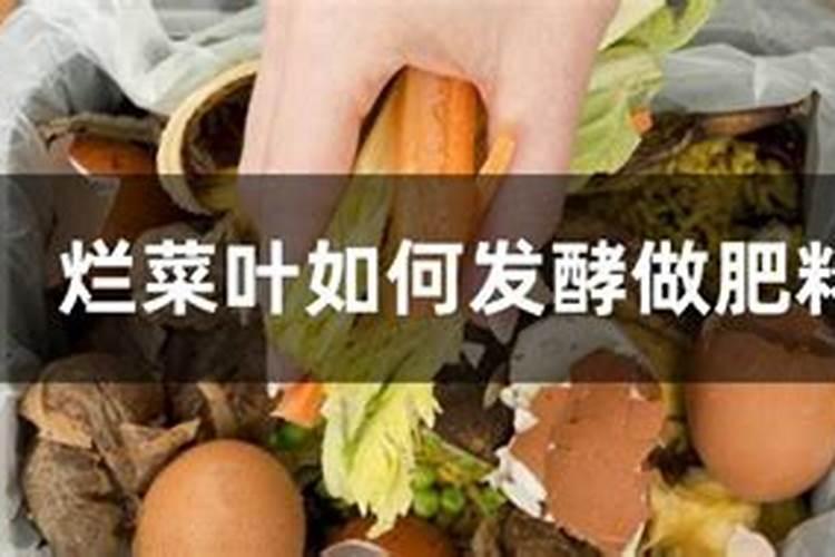 小葡萄苗可以施尿素吗？