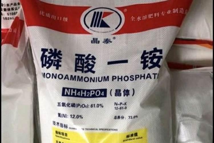 兰草花用什么肥料最好 兰花施什么肥料才能开花