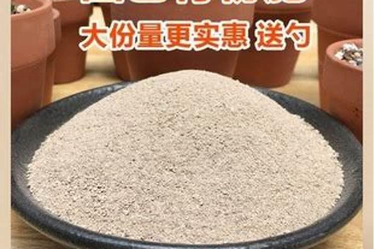 骨粉的使用方法