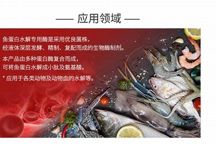 什么是淡水鱼活性多肽？