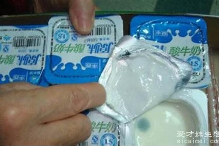 过期酸奶或牛奶怎么发酵做花肥
