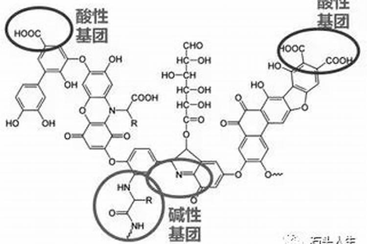 怎样用肉眼分辨腐植酸的优劣