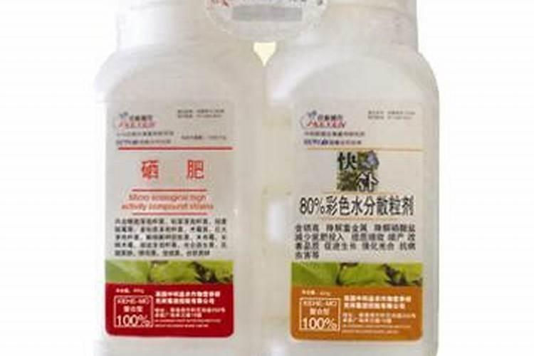 老潍县菜包括哪些菜？