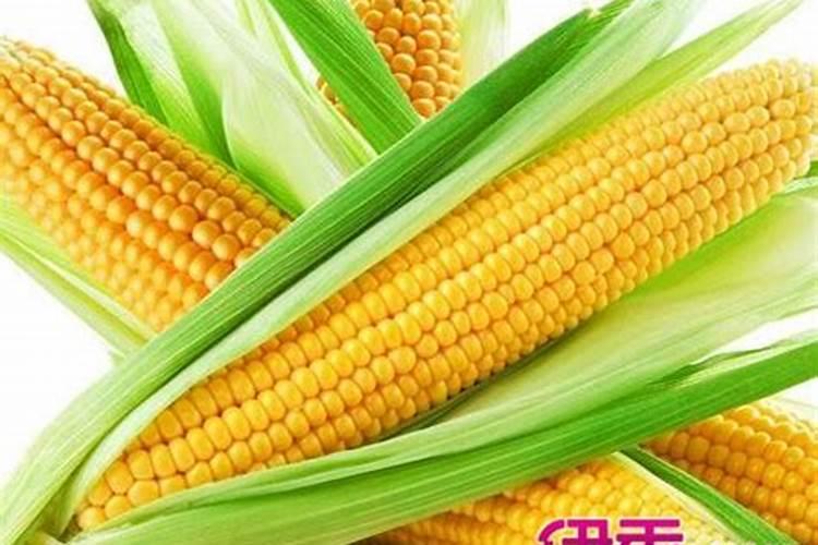 高产玉米化肥配方