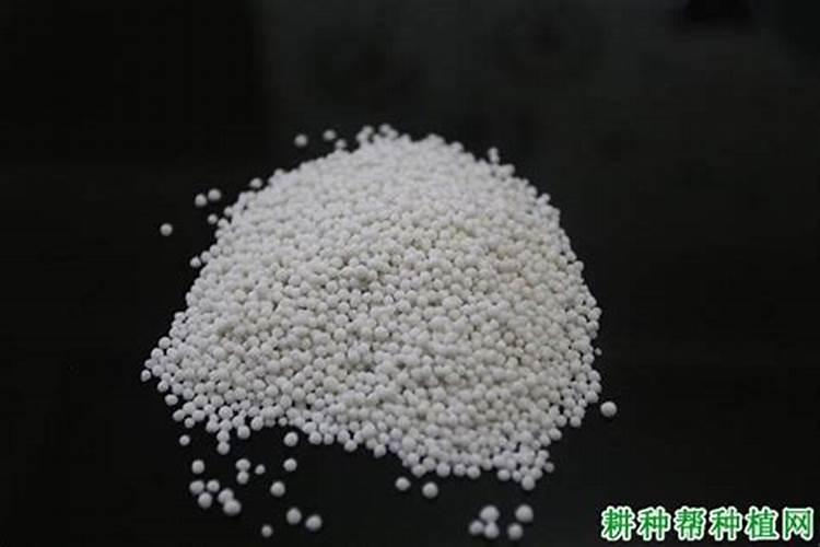 中国水溶肥的前十名中国十大水溶肥排名