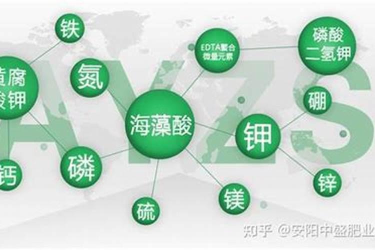 绿萝多久施一次肥 施肥用什么肥最好