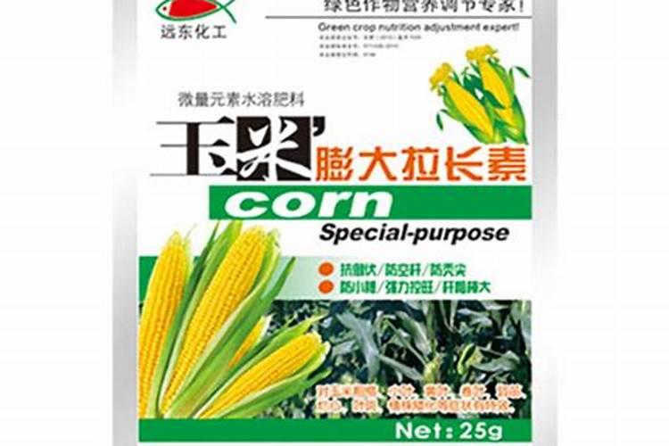 玉米追肥其实非常有讲究,在追肥过程中需要注意哪些点？