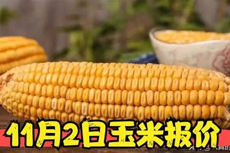 玉米高产的情况下,配肥技术有哪些要点？