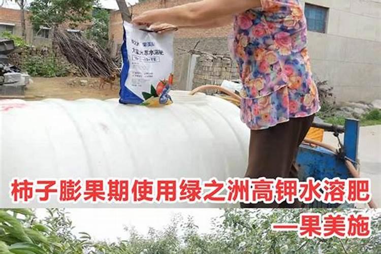 西红柿在阴雨天气如何管理